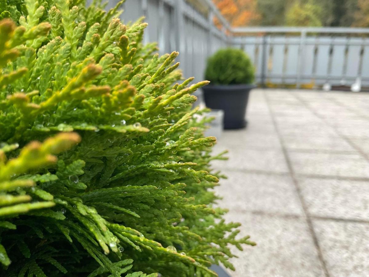 Ferienwohnung Schwarzwald Tannenzaepfle Baiersbronn Bagian luar foto