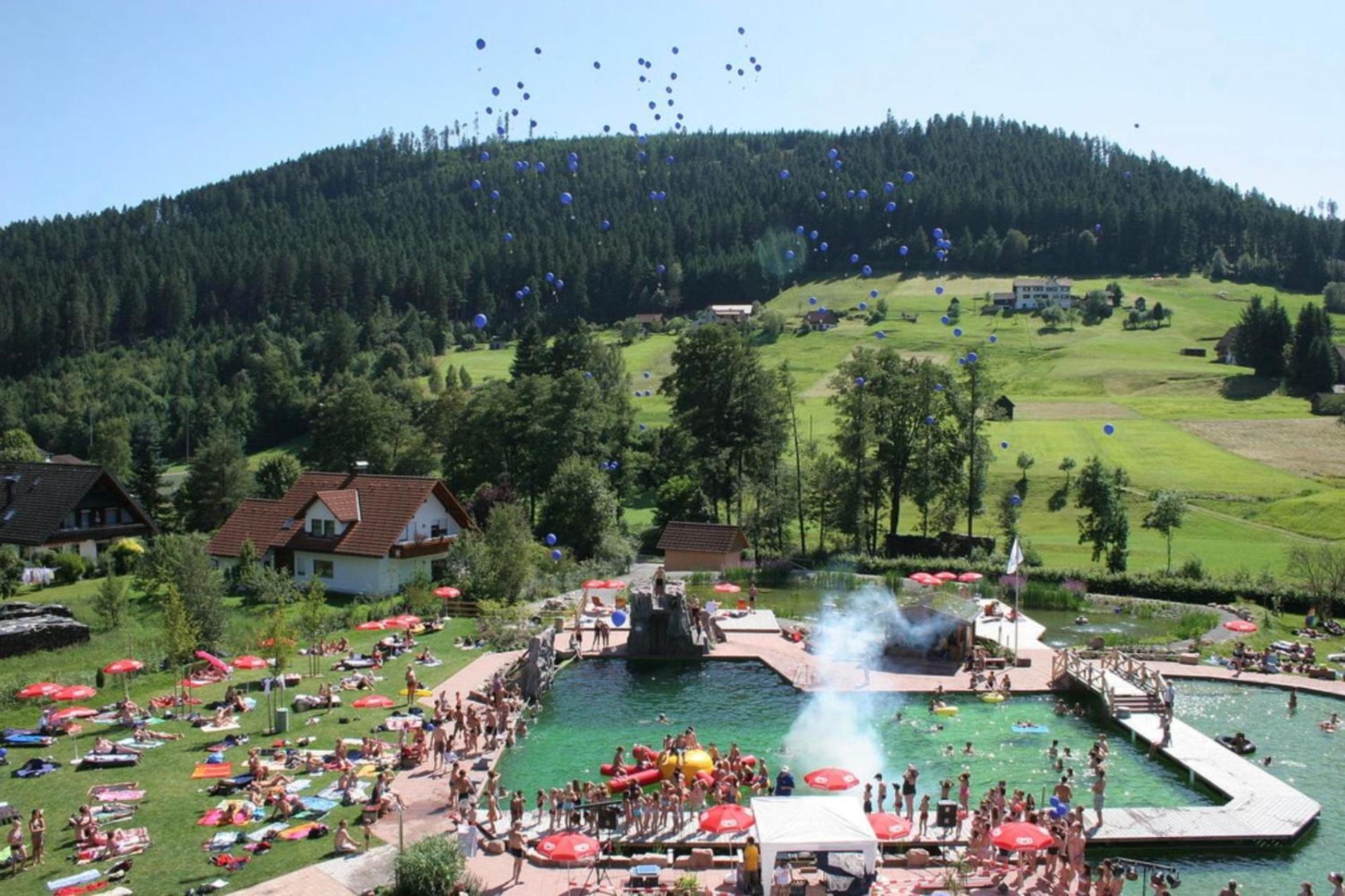 Ferienwohnung Schwarzwald Tannenzaepfle Baiersbronn Bagian luar foto