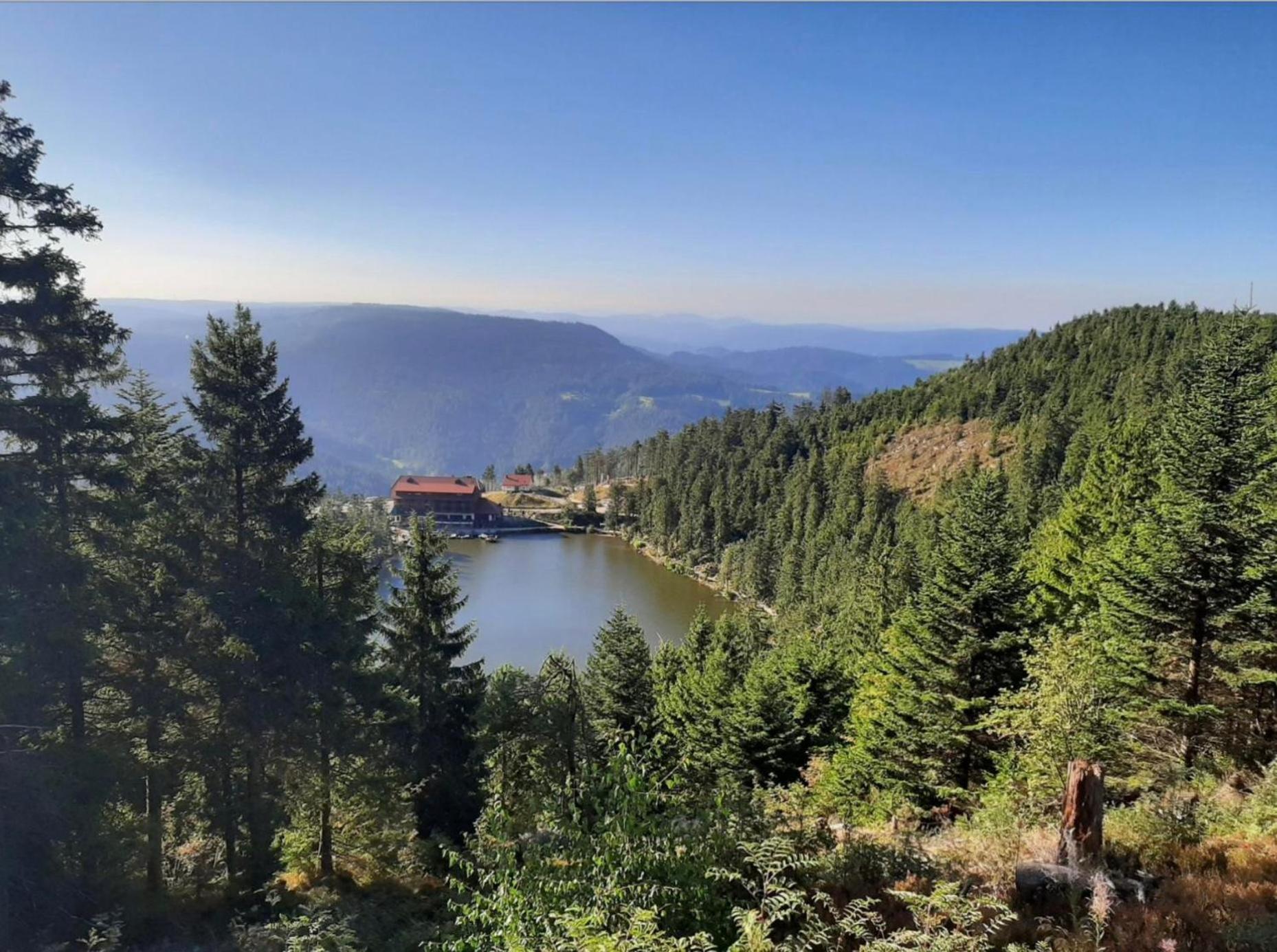 Ferienwohnung Schwarzwald Tannenzaepfle Baiersbronn Bagian luar foto