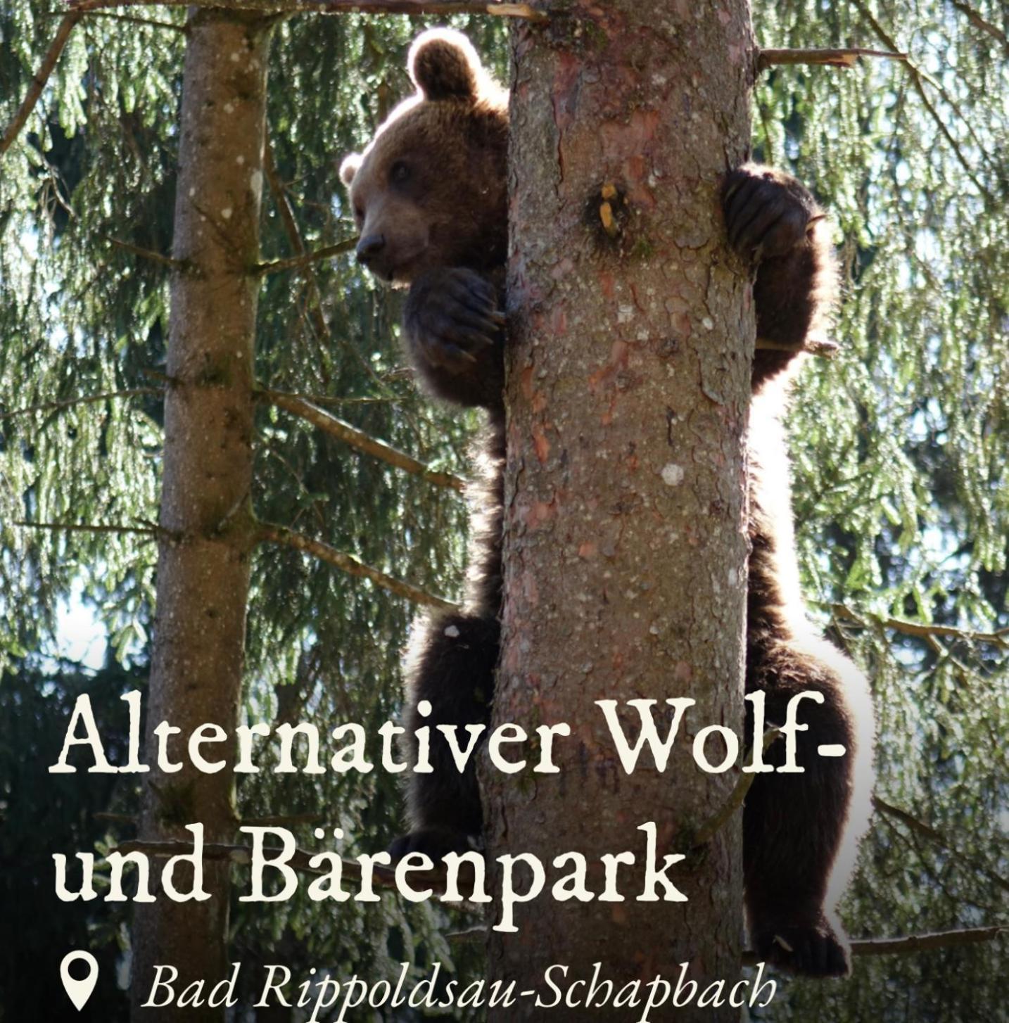 Ferienwohnung Schwarzwald Tannenzaepfle Baiersbronn Bagian luar foto