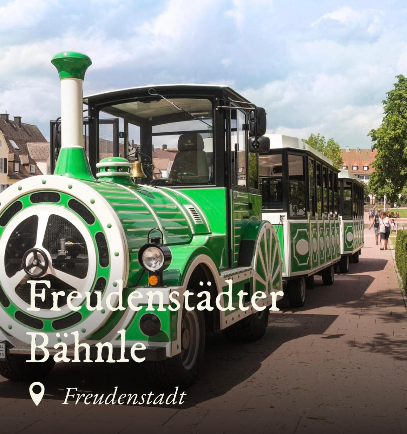 Ferienwohnung Schwarzwald Tannenzaepfle Baiersbronn Bagian luar foto